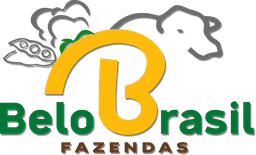 Fazenda Belo Brasil